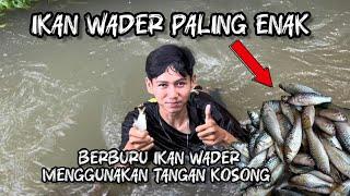 SURVIVAL DADAKAN BERBURU DAN BAKAR IKAN WADER PUTIHAN SAMBAL KECAP