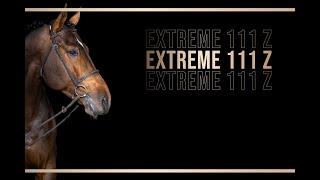 Extreme 111 Z 2nd round Stallion Competition febr 2023