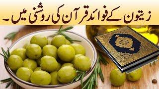 Zaitoon Ke Fawaid Quran Ki Roshni Mein | Hadees