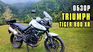 Обзор на Triumph Tiger 800Xr. Недооцененный мотоцикл.  Попал в сильный ливень.