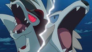 Lycanroc and rockruff AMV - Courtesy call