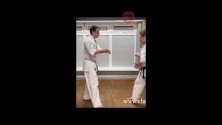 vDojo Snippet: Applicatiin Drill for Gedan-Barai