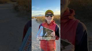 Hiding books in Free Little Libraries while we travel!