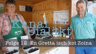 Kanal Dialäkt  Folge 12  En Gretta isch koi Zoina