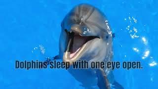 Brilliance Hub 10 FACTS || Sea Creatures Edition