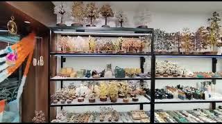 Bellarosa Gems Holistic Crystal Studio |Surat First Holistic Studio|