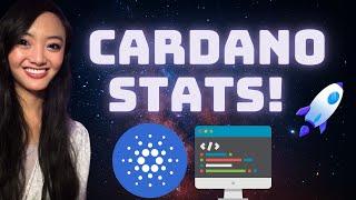 Cardano Dev Update!