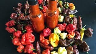 Making Hot Sauce Using The Hottest Peppers