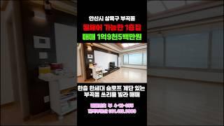 404 넓직한 사이즈 한층 한세대! 주차가능 휠체어 가능한 슬로프 계단 1층 쓰리룸 빌라 매매 #안산빌라 #부동산 #안산부동산 #안산빌라매매 #shorts #주차장