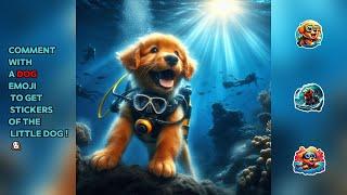 Title: "First Dive: Witness My Fluffy Dog's Underwater Adventure!"  #dog #puppy #usa