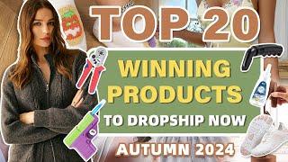 Top 20 Winning Products to Sell Now | Autumn 2024