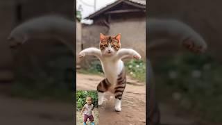 Cat Dance Funny Video  #shorts #viral #trending #youtubeshorts #catdance ||Cute cat dance