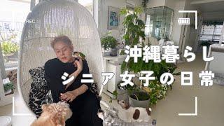 【Japan Vlog】Senior woman living alone  with six dogs, three cats, and nine birds: GF Japanese  lunch