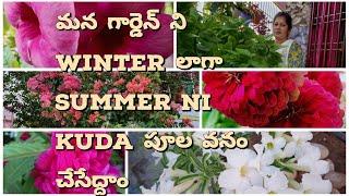 Best summer flowering plants#flowering plants for summer||Royal garden kumari