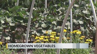 Local gardener in Grand Junction shares his passion with the community