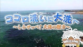 大洗町ＰＲ動画「ココロ洗いに　大洗へ　～しらせっぺ！大洗の魅力～」（全編）【公式】