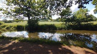 Bridge, Bank Dipping & Maglarking.