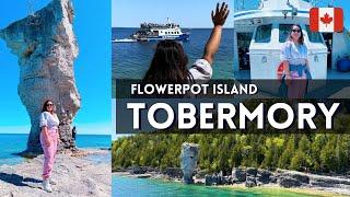 1 Day Trip to Tobermory | Flowerpot Island | Best Attraction in Ontario | Canada 