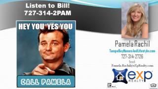 Number #1 Listing Agent in Palm Harbor FL