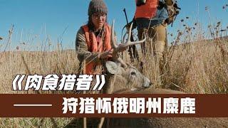 《肉食獵人》S6E6：猎人狩猎麋、火鸡等动物，用复合弓狩猎两只400斤麋鹿！