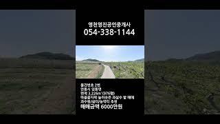 #shorts #안동부동산#안동땅매매#안동땅#안동토지#주말농장#쉼터#영천부동산#영천땅매매