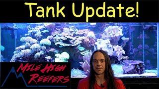 Reef Tank Update 8-24-23