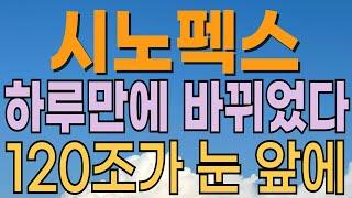 [ 시노펙스 주가전망 ] 갑작스런 급등락 이유. 외국인 매도때문? 대응전략과 목표주가 파악 필수.