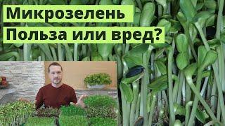 Интересные факты, 5-й - вас озадачит! | Микрозелень - польза и вред.