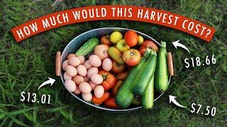 How Much Is A Garden Worth? Here's How Much THIS Harvest Could Cost From A Grocery Store