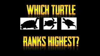 The Turtle Tier List