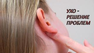 Повреждена барабанная перепонка  Виоргоны решают проблему со слухом