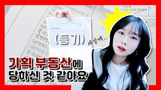 (기획 부동산) 지분 토지 처분 방법?! 도와주세요 ㅠㅠ | 지주