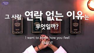 [타로/타로카드] 그 사람 연락 없는 이유는?