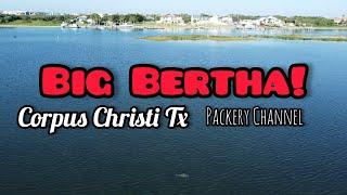 Chasing Big Bertha! on the Packery Channel (Corpus Christi TX)  #blackdrum #kayakfishing