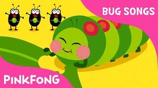Hungry Caterpillars | Bug Songs | PINKFONG Songs