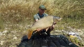 Sinan BAYRAKTAR & Wild Turkish Common (15kg)