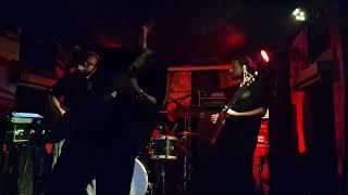 Bees Made Honey In The Vein Tree live at the Kinky Star on 18 september 2024