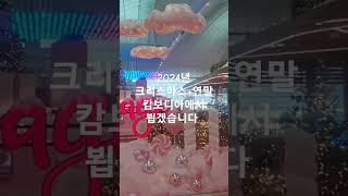 2024년 12월 5일