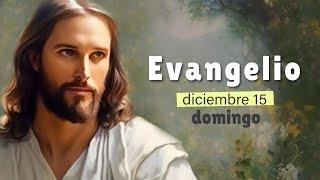 Lecturas del día de hoy Domingo 15 de diciembre de 2024 | Evangelio de Hoy, Hermano Andrés