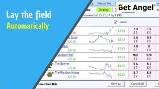 Lay the field - Betfair trading strategies - Automate it on Bet Angel