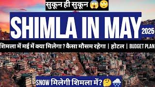Shimla in may 2025 | Weather | snowfall | snow in shimla | High budget | kufri shimla