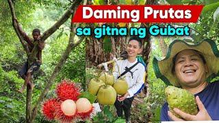 Prutas ni kagawad Hitik sa Bunga Pinitas namin sa gitna ng Gubat