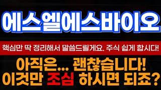 '에스엘에스바이오' 주가 전망! 미리 알려드렸는데..아직 늦지 않았습니다!