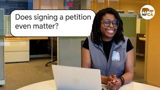 Online Advocacy Expert Answers Your Questions