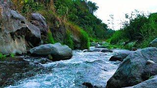 Relaxing River Sounds Mountain Stream Waterfall Gentle Stream for sleep, study, insomnia, meditation