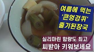 큰엉겅퀴: 맛있는 여름 줄기 된장국, 실리마린 함량도 최고