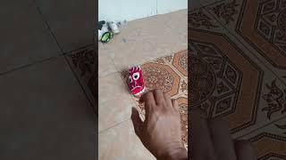 tangkap kodok kecil