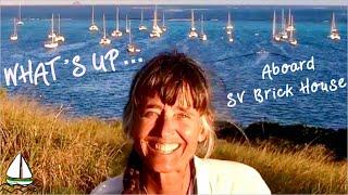Grenadines Sailing Life, Cooking….WHATS HAPPENING??... (Sailing Brick House #80)