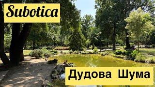 Суботица. Дудова Шума. Парк В Суботица. Сербия. Переезд В Сербию На ПМЖ. Subotica. Dudova Suma