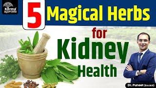 5 Magical Herbs for Kidney | Kidney Treatment in Ayurveda | Karma Ayurveda USA | Dr Puneet Dhawan